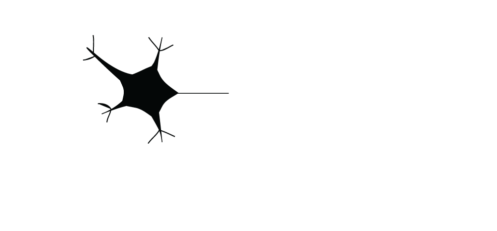 EDUCACIÓN CONTINUA SEN